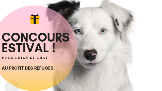 Image Concours estivale – Au profit des refuges
