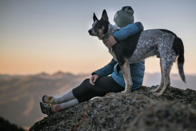 Image Reste avec moi : un point de vue canin sur l’euthanasie